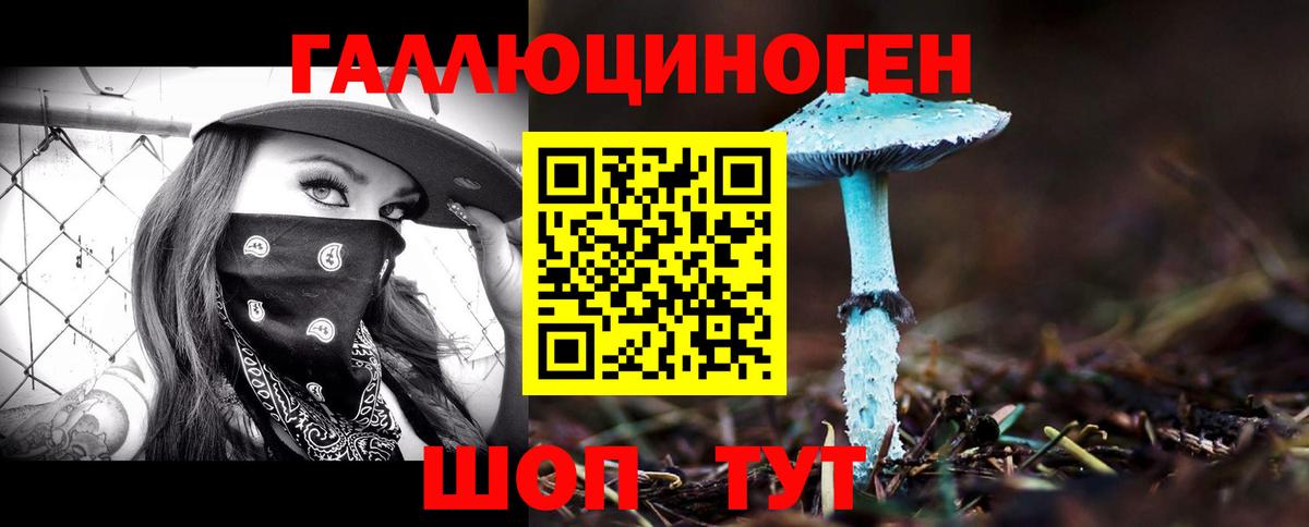Чистополь  Галлюциногенные грибы мухоморы  Вход с VPN 